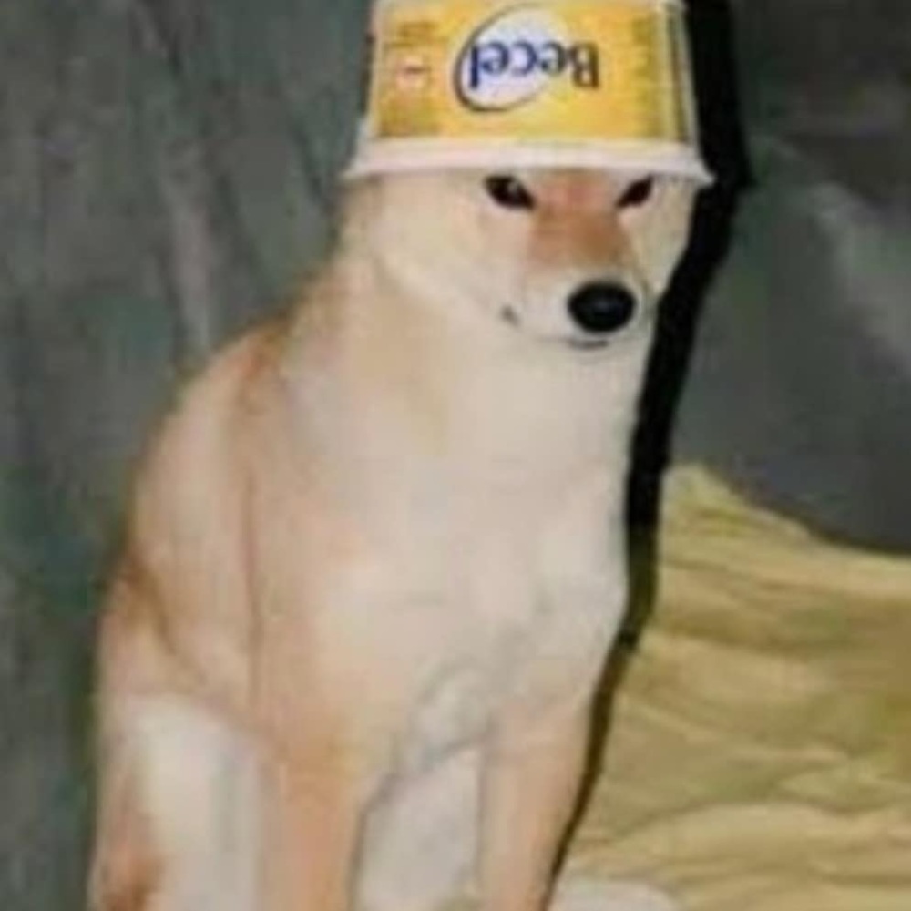 Meet your Posher, It_ya_boi_